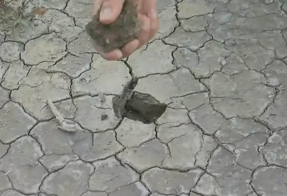 Cómo es el lugar donde encontraron un cuerpo