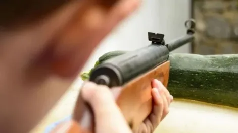 Amenazó con una escopeta a unos albañiles por “hacer ruidos” y lo condenaron sin prisión