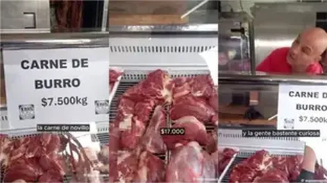 Carne de burro.