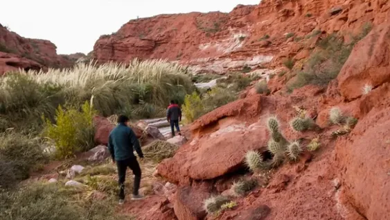 Los requisitos para ir a cada una de las provincias en estas vacaciones de invierno