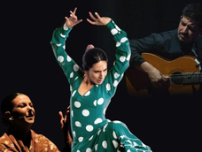 El Teatro del Bicentenario recibirá a Cathy Sandoval, Lydia Martín y Allier Díaz Ferrer, quienes harán dos tablaos el mismo día. El Teatro del Bicentenario recibirá a Cathy Sandoval, Lydia Martín y Allier Díaz Ferrer, quienes harán dos tablaos el mismo día.