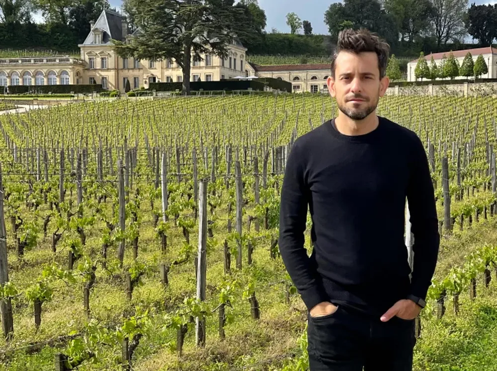 Curso de vinos online y gratuito