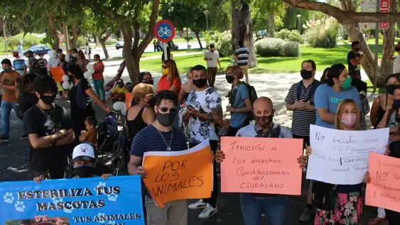 Ley de perros peligrosos: Ambiente pide recursos y compromiso social