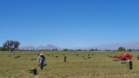 Récord de inscriptos en ciencias económicas y empresariales