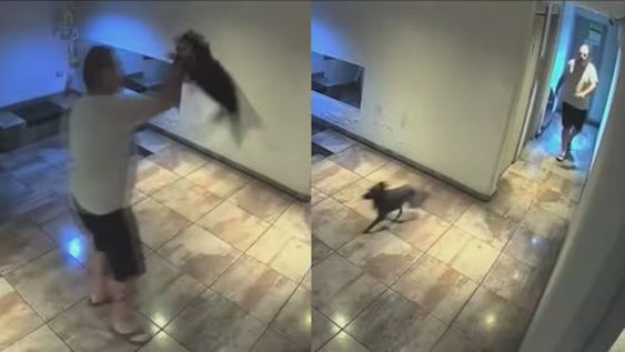 maltrato animal: lo filmaron cuando levanto a un perrito del cuello y lo arrojo con violencia al piso