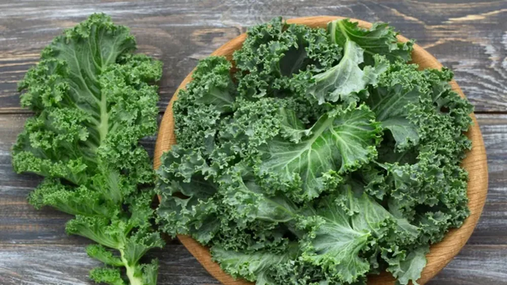 El Kale aporta vitaminas y otros nutrientes
