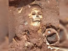 Huesos hallados en Marayes.- Huesos hallados en Marayes.-