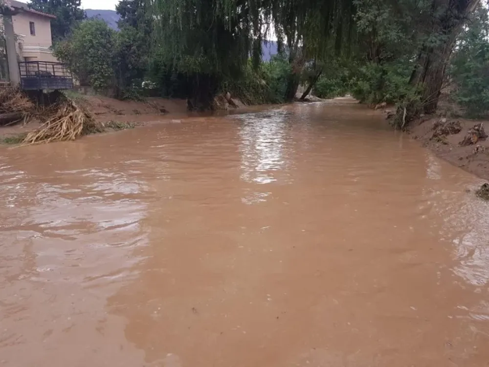 Cuantiosas pérdidas económicas causaron las lluvias continuas