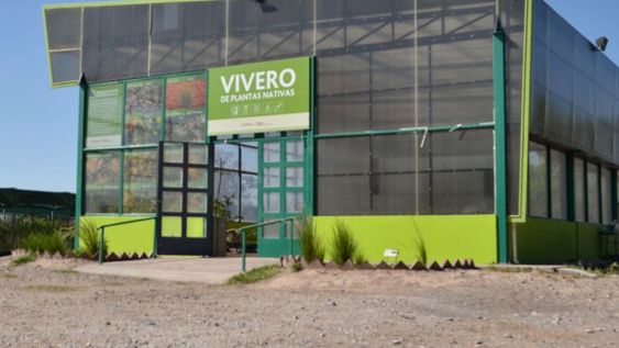 Forestación: buscan un ahorro millonario gracias a un vivero