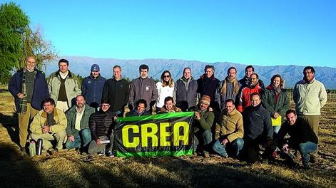 Pérdidas irreversibles en olivos