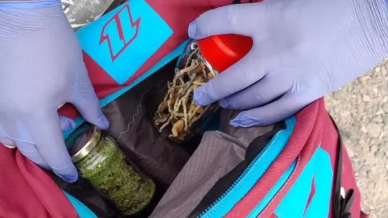 Viajaba de Córdoba a Iglesia con marihuana y hongos alucinógenos: lo atraparon