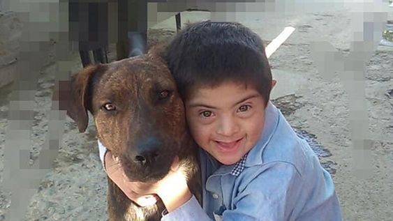 Caucete: envenenaron y mataron al perro guía de un niño con Síndrome de Down