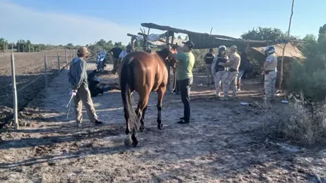 Desbarataron carreras ilegales de caballos en Cochagual: seis personas quedaron detenidas