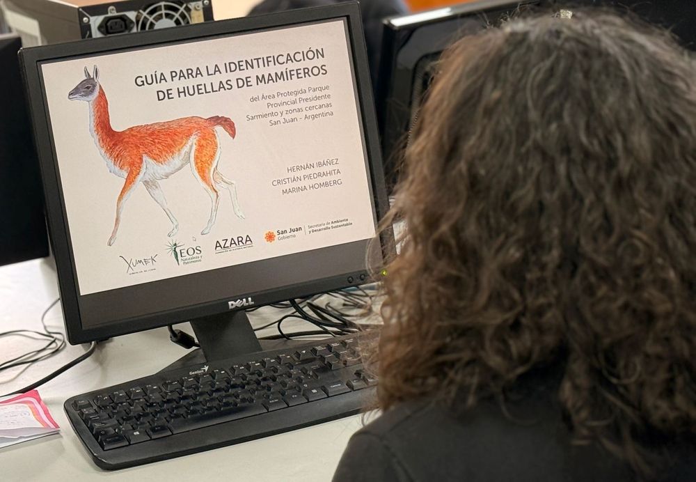 Todos los interesados podrán consultar la nueva guía virtual de Ambiente sobre las huellas de los mamíferos que habitan el Parque Sarmiento.