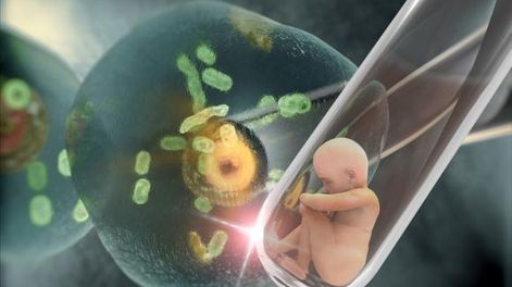 Paternidad por encargo