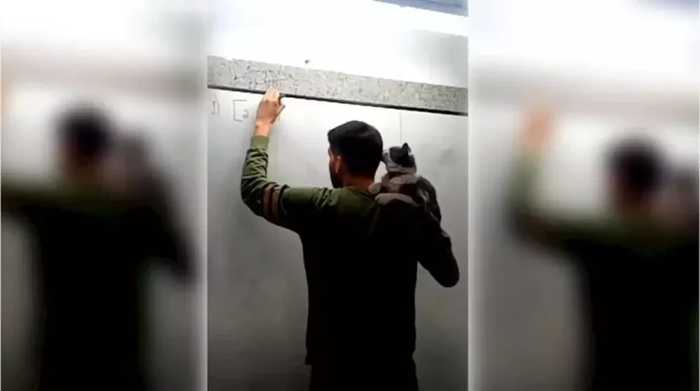 Un profesor de Matemáticas da clases con un gato en el hombro y es viral