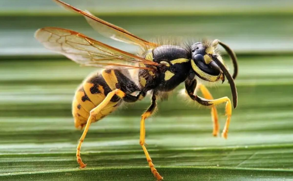 La víctima del ataque, identificada como Juan Carlos Sandoval, alcanzó a pedir ayuda a la Línea 107.