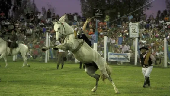 La gente llegó temprano para ocupar el mejor lugar y poder disfrutar de la doma