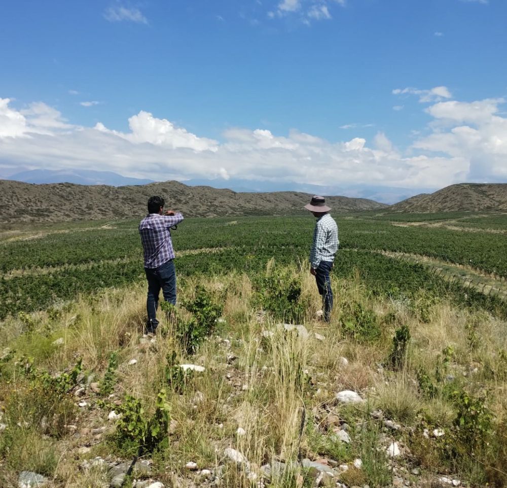 9097f71b-d1ad-4a23-8037-b7e624cdd9bd