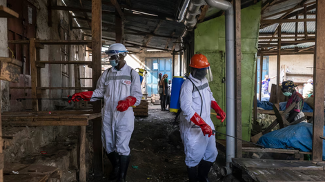 alerta por ebola: que es, como se transmite y cual es el riesgo para argentina