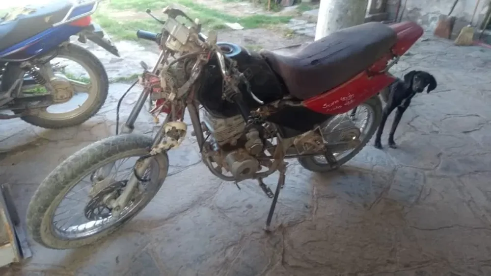Iba en moto, chocó contra un caballo que se le atravesó de repente y murió en el acto