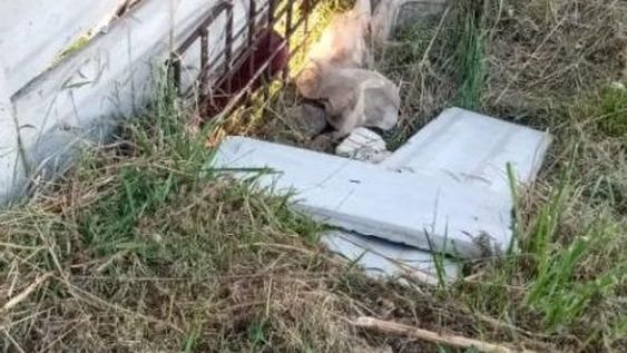 IMAGEN MUY FUERTE: quiso entrar a robar a una casa y murió aplastado por un muro de hormigón