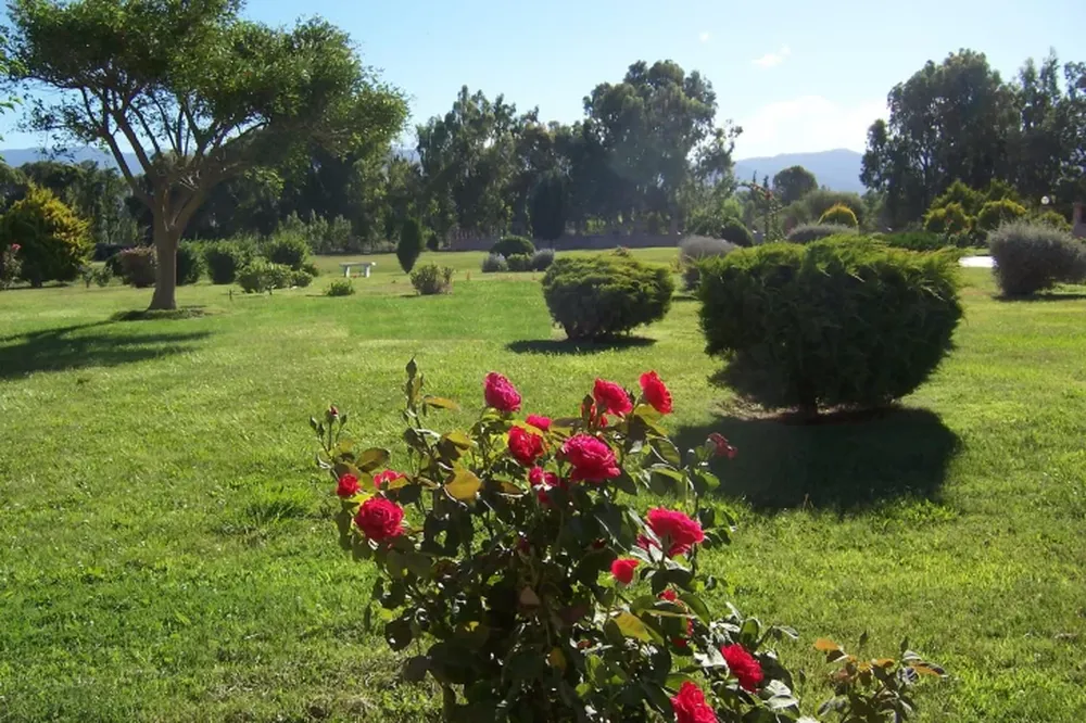 Parque San José: nuevas medidas por coronavirus y dengue