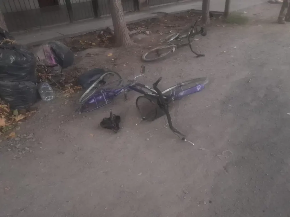 Una ciclista que fue chocada por un camión sufrió graves lesiones