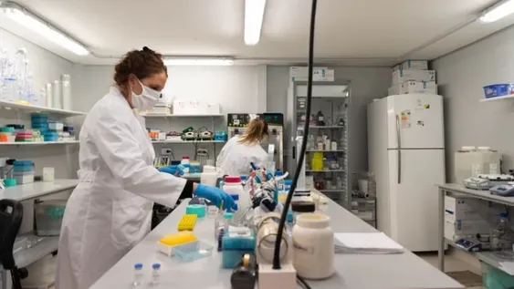 Nuevo estudio sugiere que el coronavirus apareció en Europa antes que en China