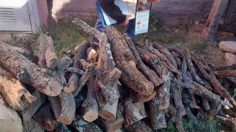 El municipio de Valle Fértil arrancó con la Campaña Chagas 2026 con visitas a domicilio para tareas preventivas.
