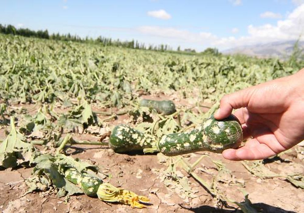 La piedra no da tregua
