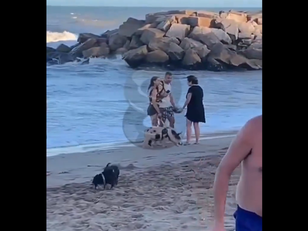 Sacó a pasear a su chancho con correa por la playa y se volvió viral