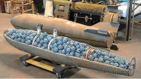 DETALLE INTERNO de una bomba de racimo.