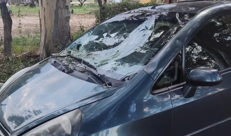 Se cayó una rama, atravesó un parabrisas y se le incrustó en el brazo a una mujer: fue operada
