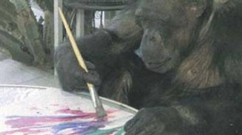 Deslumbra el mono pintor