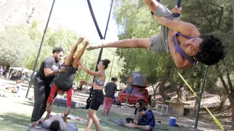 Diario de Cuyo | juglar 728x550.webp