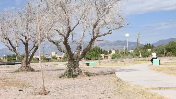 Vecinos reclaman que las plazas de un barrio parecen abandonadas desde hace 4 años