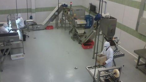 San Juan suma una nueva planta de pasa de uva en Santa Lucía