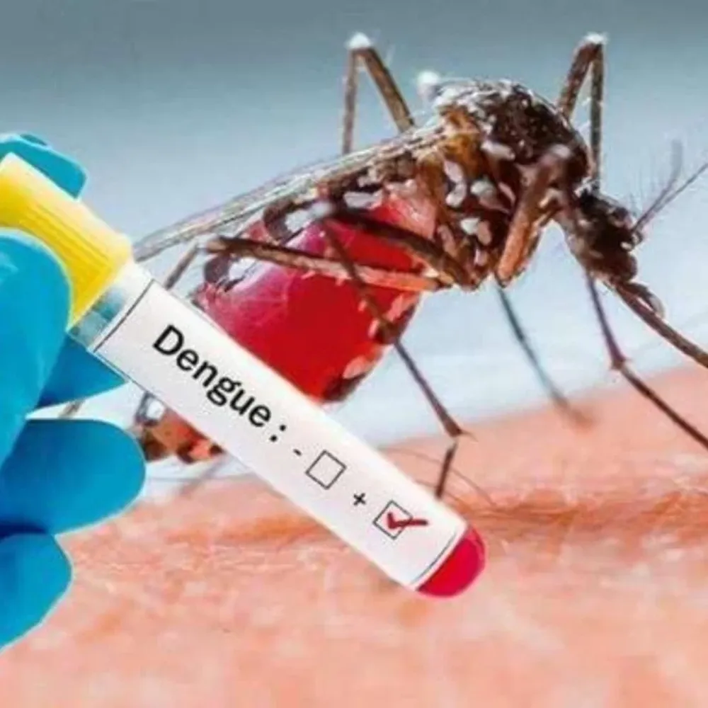 Brote de dengue en San Juan: hay 23 pacientes internados, 2 en terapia intensiva
