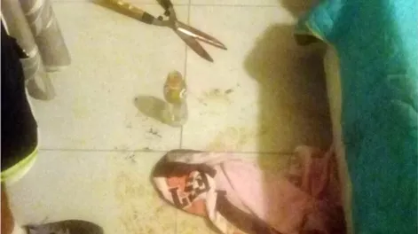 Dejaron en libertad a la arquitecta que le mutiló los genitales a su amante con una tijera de cortar el césped