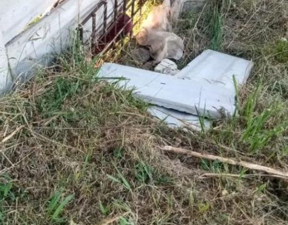 IMAGEN MUY FUERTE: quiso entrar a robar a una casa y murió aplastado por un muro de hormigón