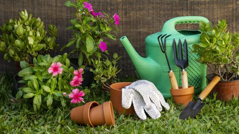 Febrero, en el espacio verde Febrero, en el espacio verde