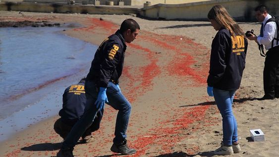 Tía del bebé asesinado: “Mi hermana aún no sabe cómo mataron a su hijo”