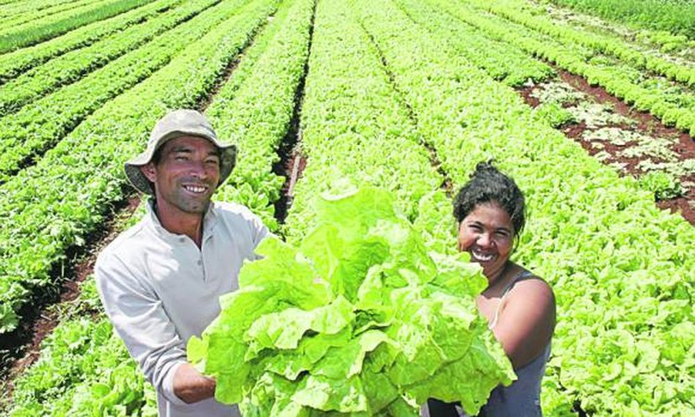 Seminario internacional y VIII Asamblea de la Comisión de agricultura orgánica