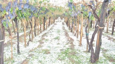 Una buena inversión para el campo