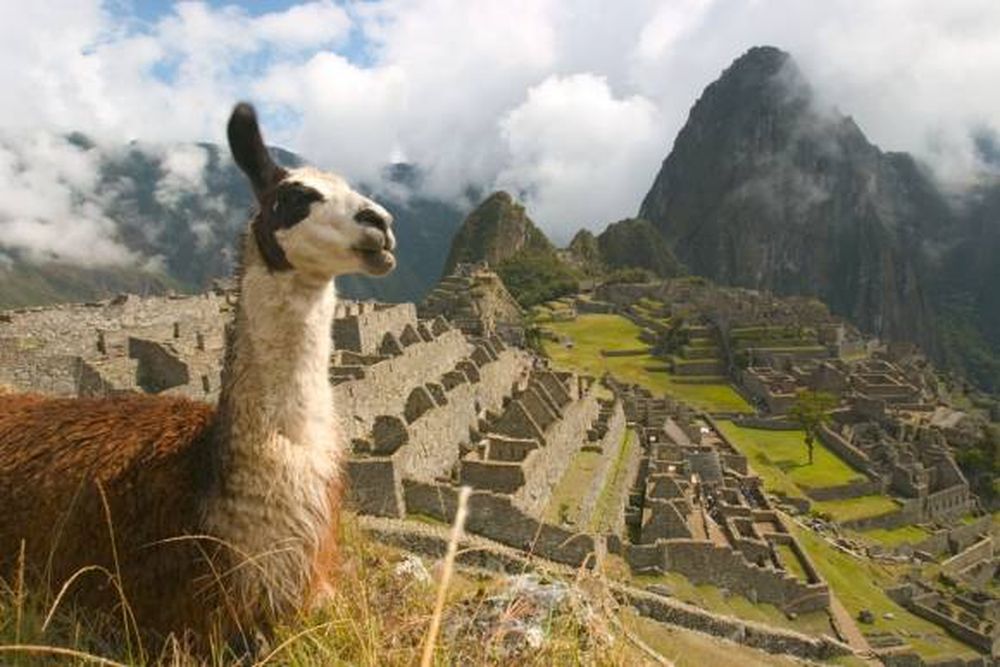 Machu Picchu para descubrir