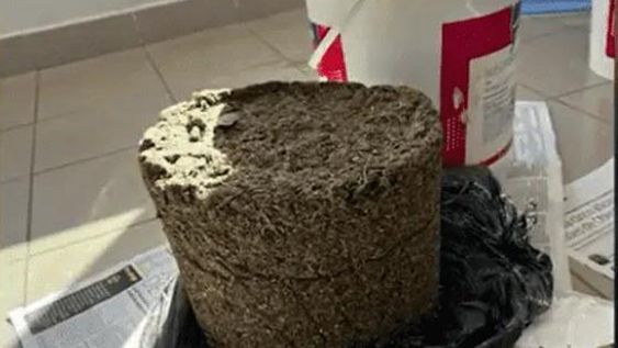 Secuestran más de 6 kilos de marihuana escondidos en envases de pintura