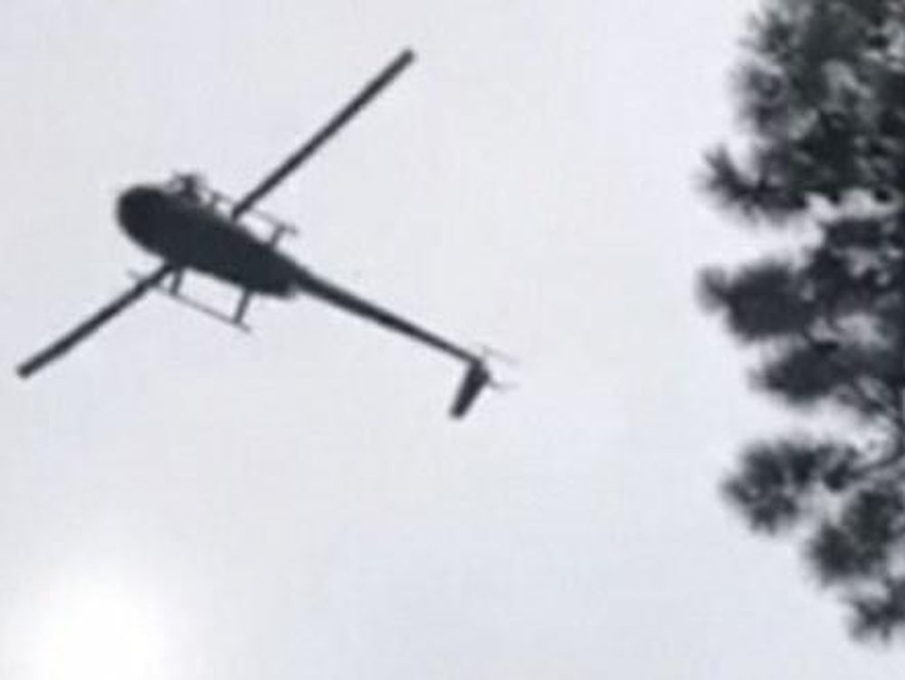 Tiraron un cerdo desde un helicóptero a una pileta y generaron indignación