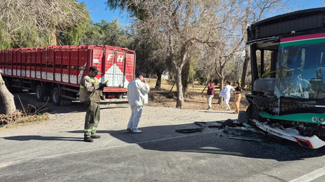 violento choque entre un colectivo de la red tulum y un camion cargado con chanchos en ruta 20