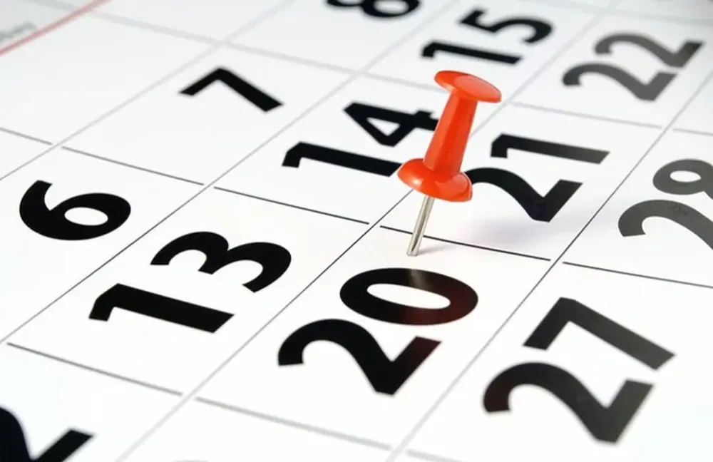 Balotaje: ¿qué pasará con el feriado del 20 de noviembre?